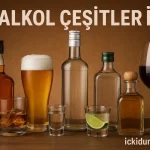 Alkol Çeşitleri