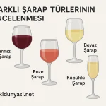 Farklı Şarap Türlerinin İncelenmesi