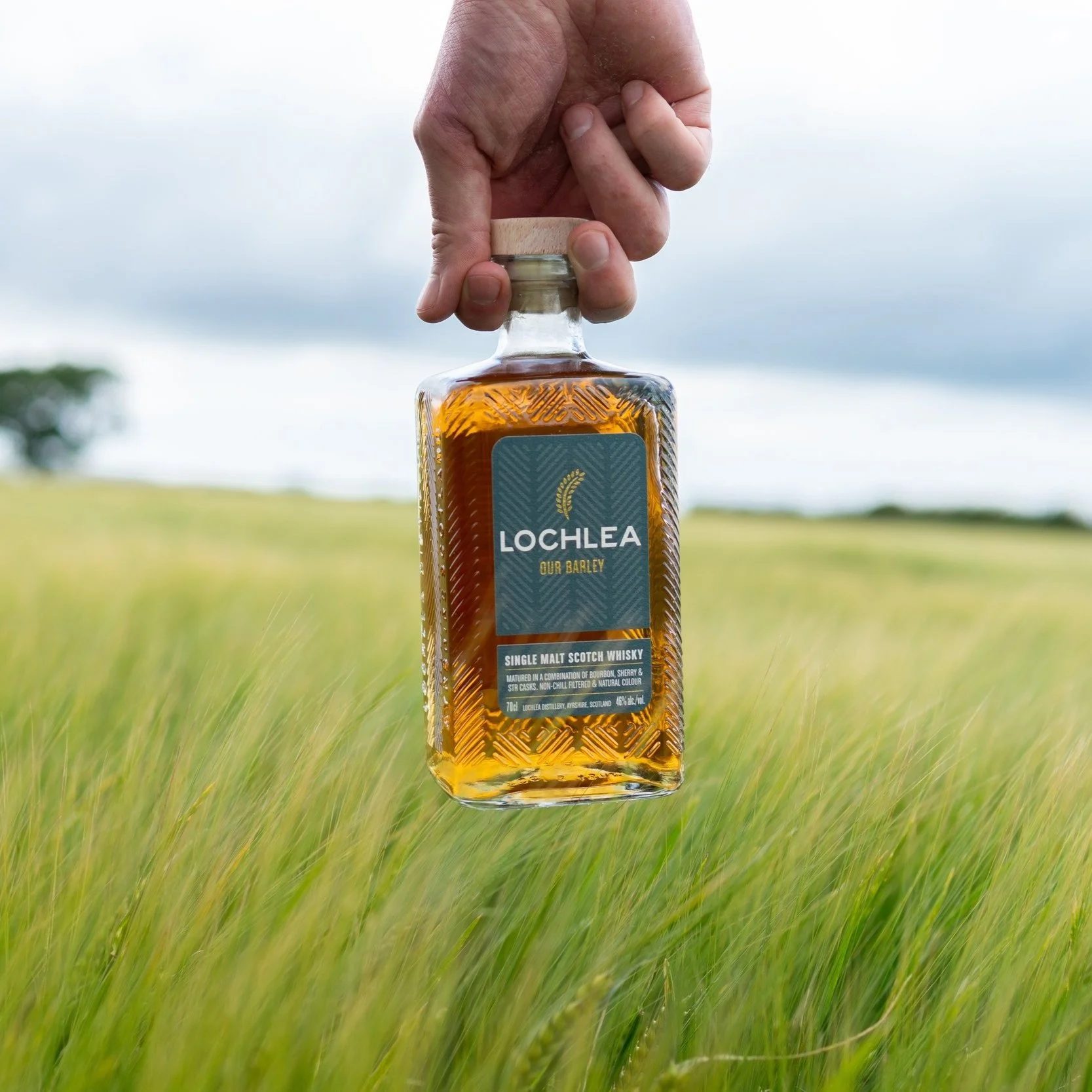 Lochlea Our Barley 1 Lochlea Our Barley