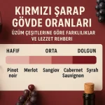 Kırmızı Şarap Gövde Oranları Üzüm Çeşitlerine Göre Farklılıklar ve Lezzet Rehberi